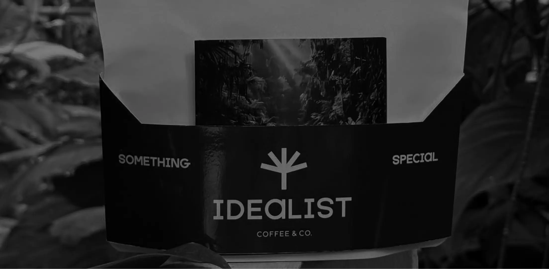 IDEALIST